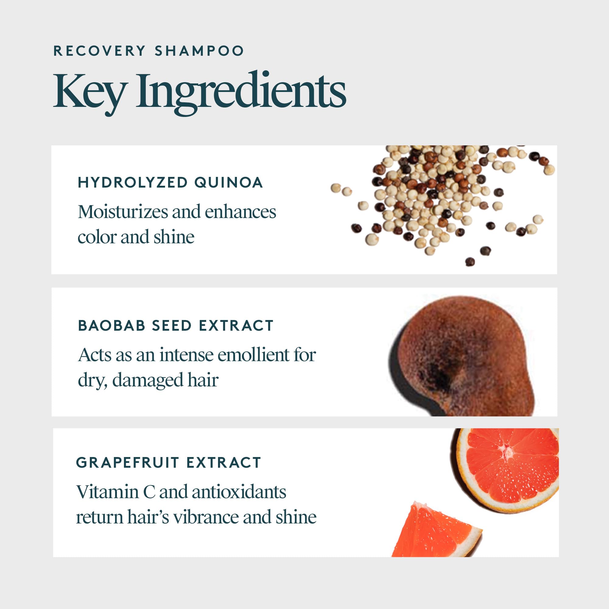 Virtue Recovery Sulfate Free Shampoo with Keratin and Baobab Seed Oil for Damaged Hair, Color Safe